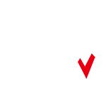 SKV全景系统